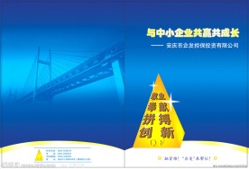 担保公司封面