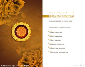 月饼画册
