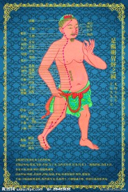 经络图13