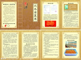 冬虫夏草