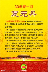 元润堂大药房 复元丹的成份和由来