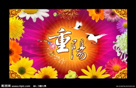 重阳节