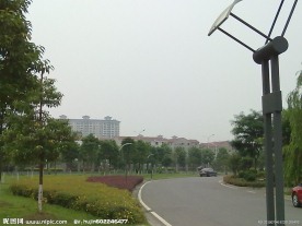 城市树林