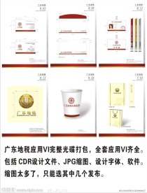 广东地税应用VI