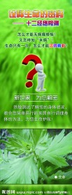 艾草十二经络检测