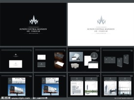 圣奥中央商务大厦房地产VI