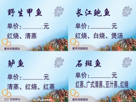 酒店菜牌设计