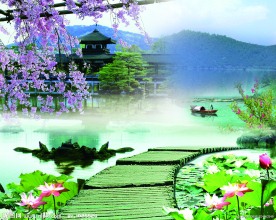 山水荷花风景图