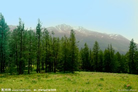 新疆喀纳斯风景