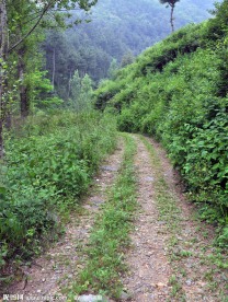 山间小路