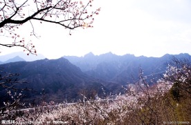 山景