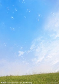 蓝天下花朵图片