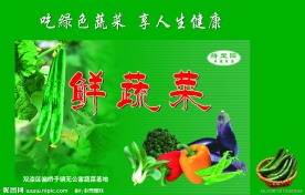 蔬菜包装