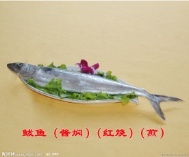 鲅鱼（酱焖）（红烧）（煎）