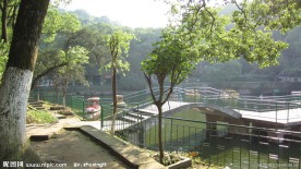 泸州市忠山公园