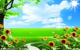 夏日风景