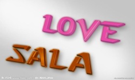 love sala立体字