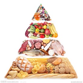 金字塔食物