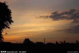 黄昏的田野