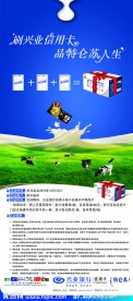 兴业银行X展架