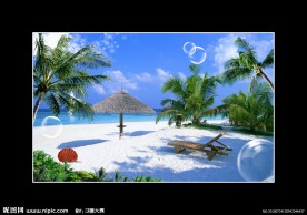 风景沙滩大海椰树