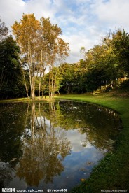 自然风景 池塘 蓝天树林