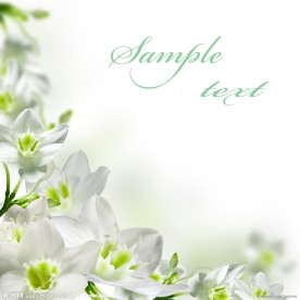 淡雅清新花朵高清图片