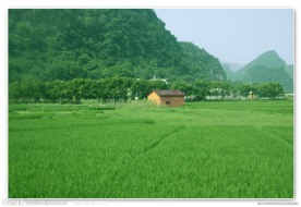 广东清远英西