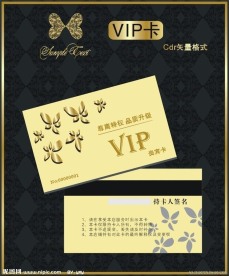 高级VIP会员卡