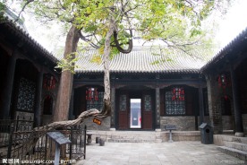 马氏庄园 龙抱槐