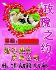 玫瑰 婚庆