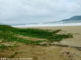 海边风景