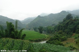 广西百色风光
