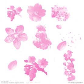 樱花笔刷