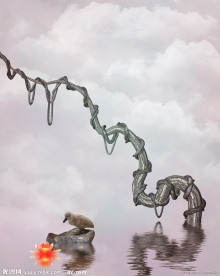 石头上的小天鹅