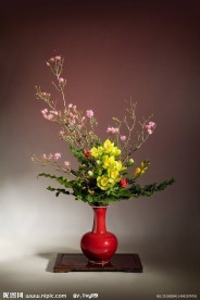 瓶花