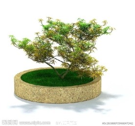精美花台植物3D模型