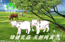 乳品广告画面