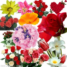 百花图