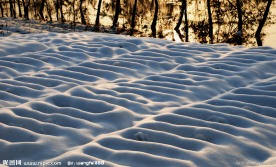 雪韵