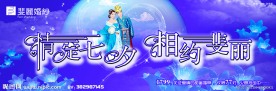 情定七夕 相约斐丽