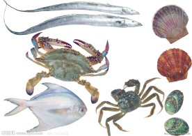 海鲜