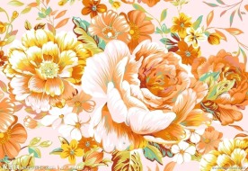黄花