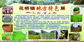 农业地方特色展板