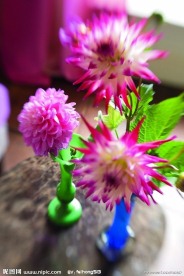 花艺欣赏