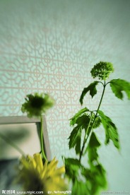花艺欣赏