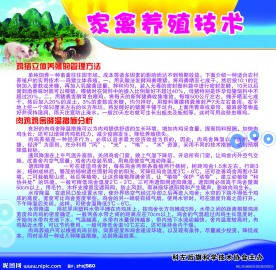 科普展板