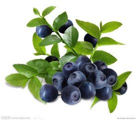 蓝莓