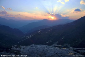 日出梯田