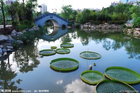 小桥流水